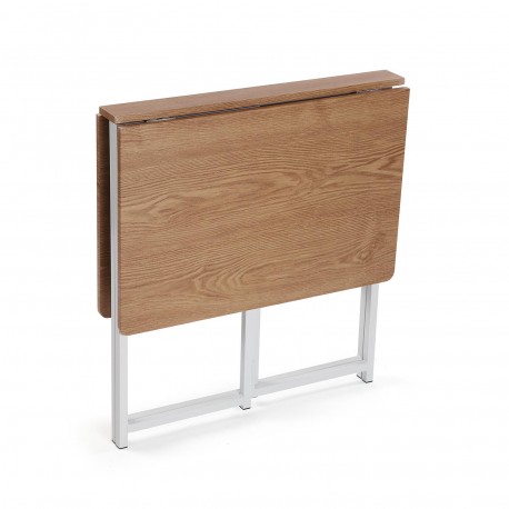 JUEGO DE MESA PLEGABLE Y 4 SILLAS