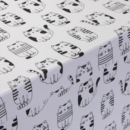 SET 15 CAJAS CARTON GATTO