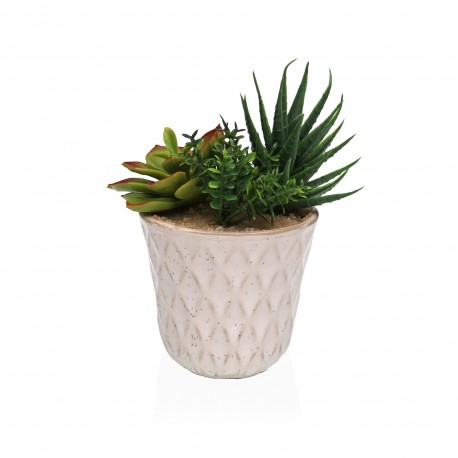 MACETA DE CERAMICA CON SUCULENTA 1