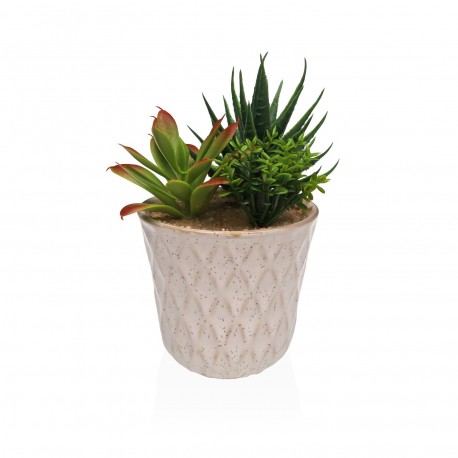 MACETA DE CERAMICA CON SUCULENTA 4