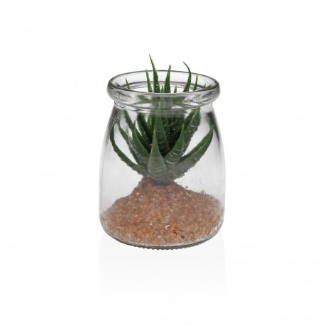 TARRO DE CRISTAL CON SUCULENTA 1