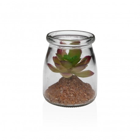 TARRO DE CRISTAL CON SUCULENTA 2