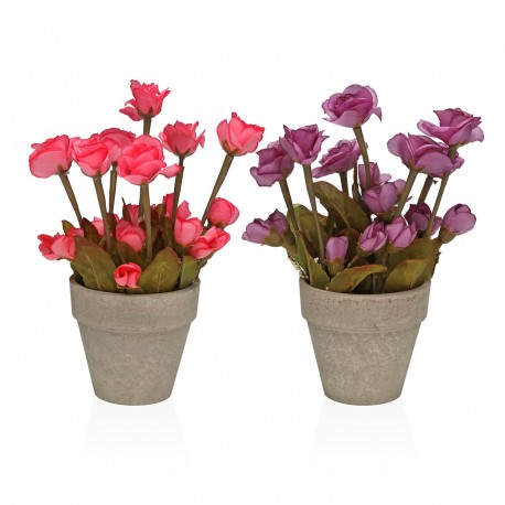 SURTIDOS DOS PLANTAS DECORATIVAS DE 27 CM
