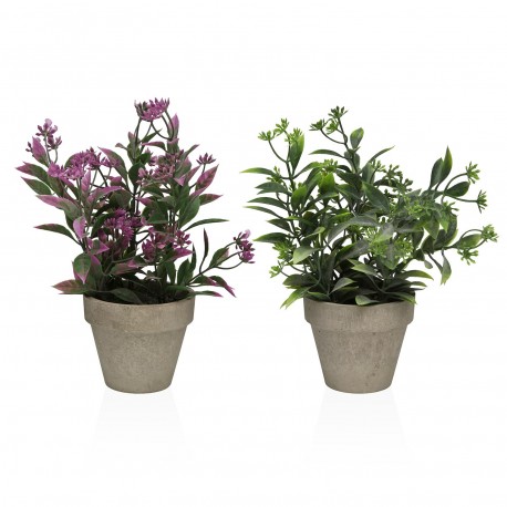 SURTIDOS DOS PLANTAS DECORATIVAS DE 26CM