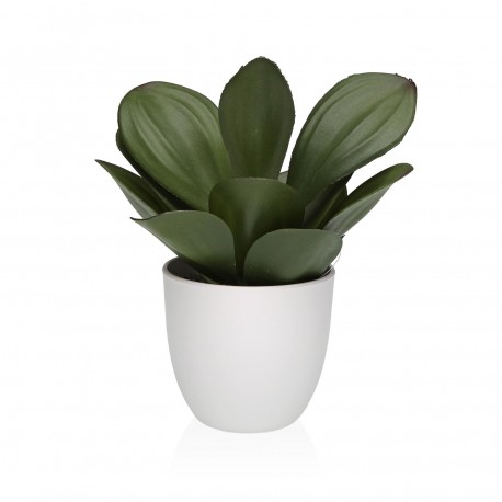 MACETA DECORATIVA CON PLANTA 23 CM