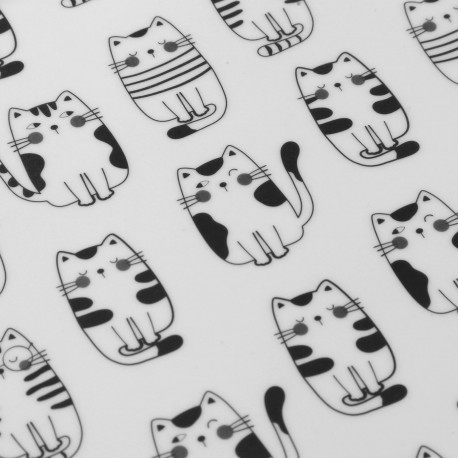 ALBUM GATTO 20 PAGINAS