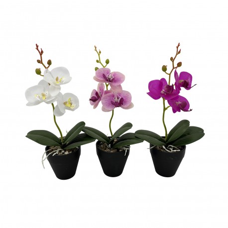 FLOR ORQUIDEA SURTIDO DE 3 CON MACETA