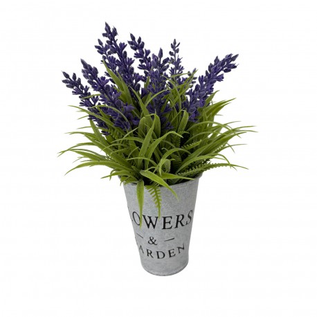PLANTA LAVANDA CON MACETA