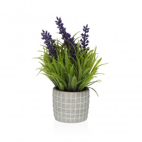 PLANTA LAVANDA CON MACETA