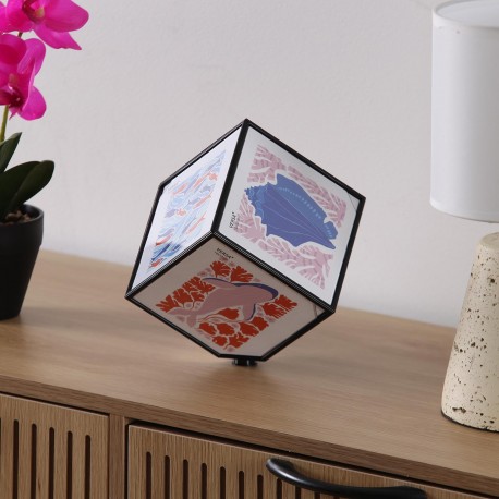 CUBO FOTOS JUNO 10 X 10 NEGRO