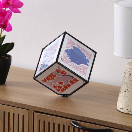 CUBO FOTOS JUNO 10 X 10 NEGRO