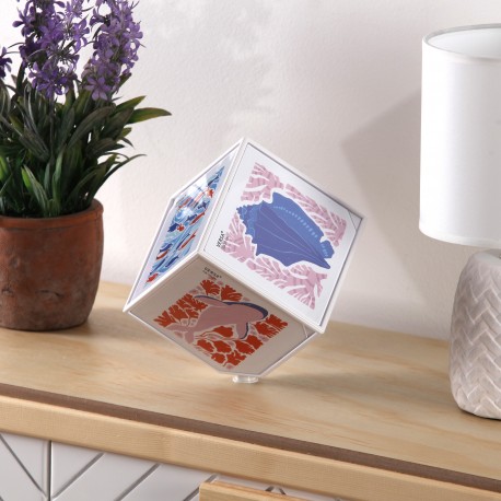 CUBO FOTOS JUNO 10 X 10 BLANCO