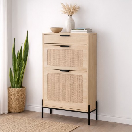 ZAPATERO 2 PUERTAS CON CAJÓN