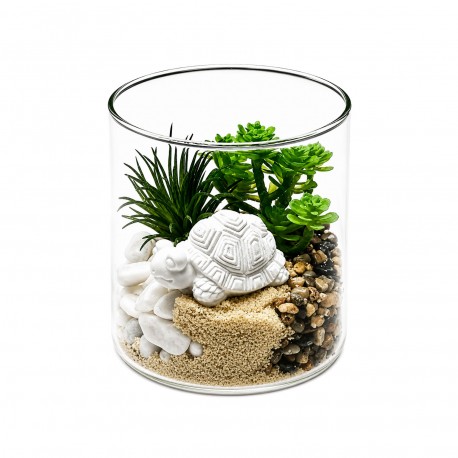 MACETA DE CRISTAL CON PLANTA Y TORTUGA