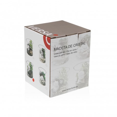 MACETA DE CRISTAL CON PLANTA Y TORTUGA
