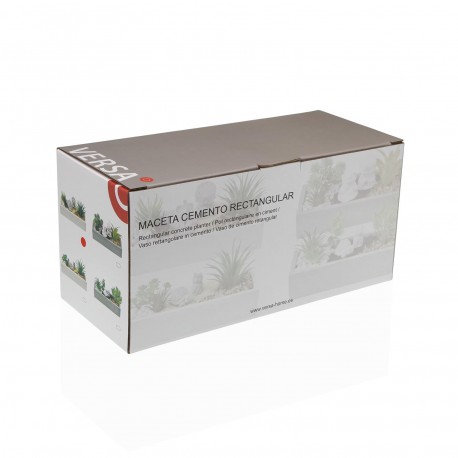MACETA CEMENTO BLANCA CON PLANTA ELEFANTE Y BUDA