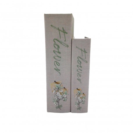 SET DE 2 LIBROS DE DECORACION  FLORIS