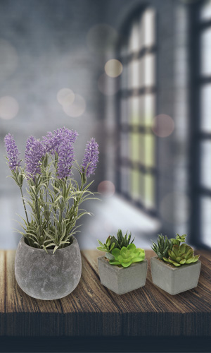 decoracion-plantas-interior-versa