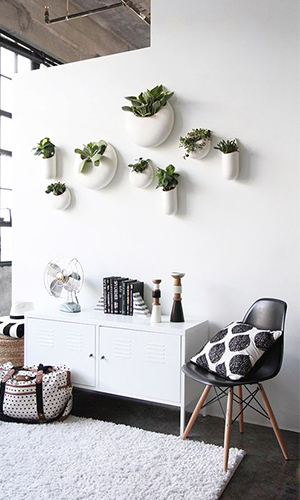 decoracion-plantas-interior-pared